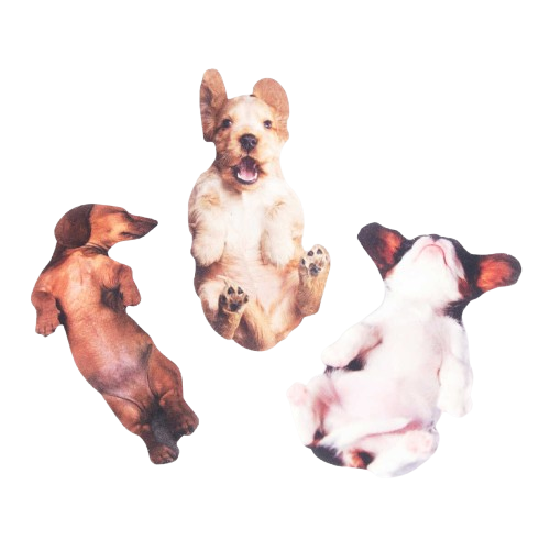 Suck Uk Dog Nail Fİles Törpü