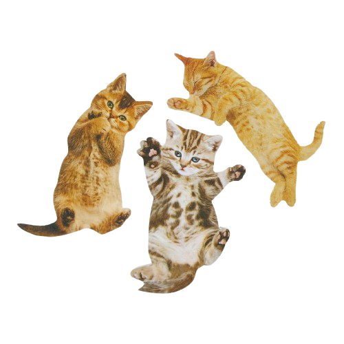 Suck Uk Cat Nail Fİles Törpü