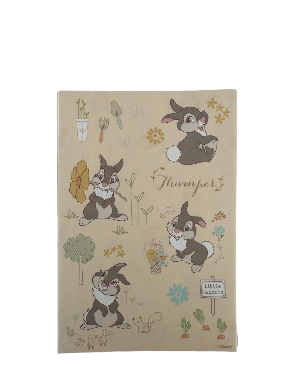 Disney Animals Tavşanlı Scrapbook Kağıtları 10'lu Set