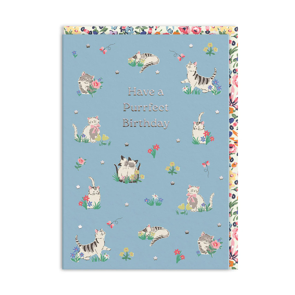 Ohh Deer Cath Kidston Tasarımı A6 Kartpostal Purrfect Birthday Kittens 11501
