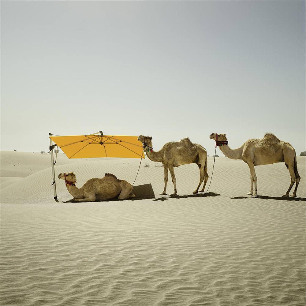 Glatz Sombrano S+ Ecru Square Umbrella