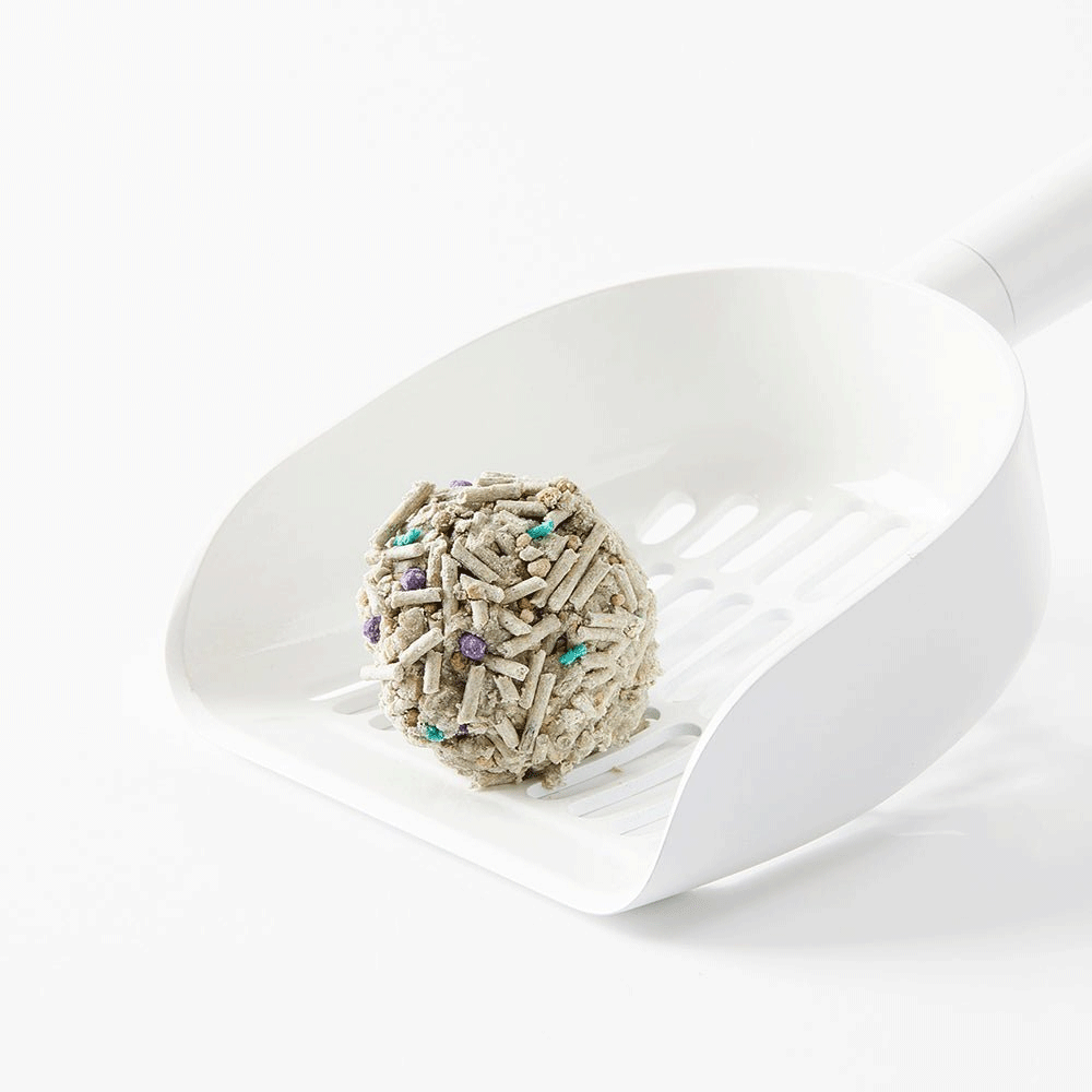 Petkit 5i 1 Arada Aktif Karbonlu Kedi Kumu