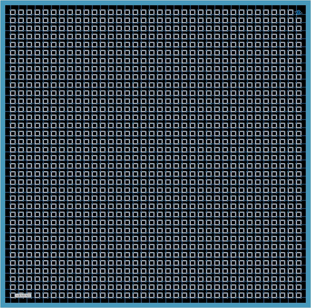 ARMİNE SURA  İPEK EŞARP 9016D 
