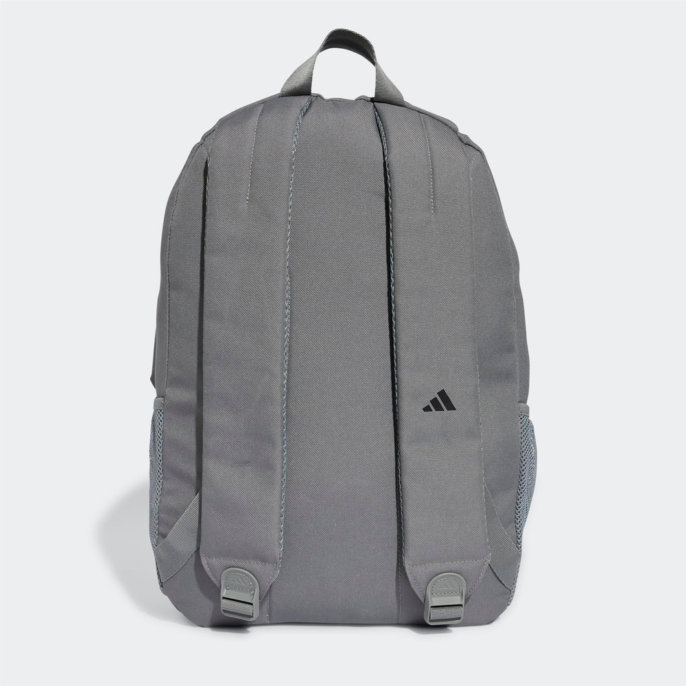 Clsc Pcase Bp