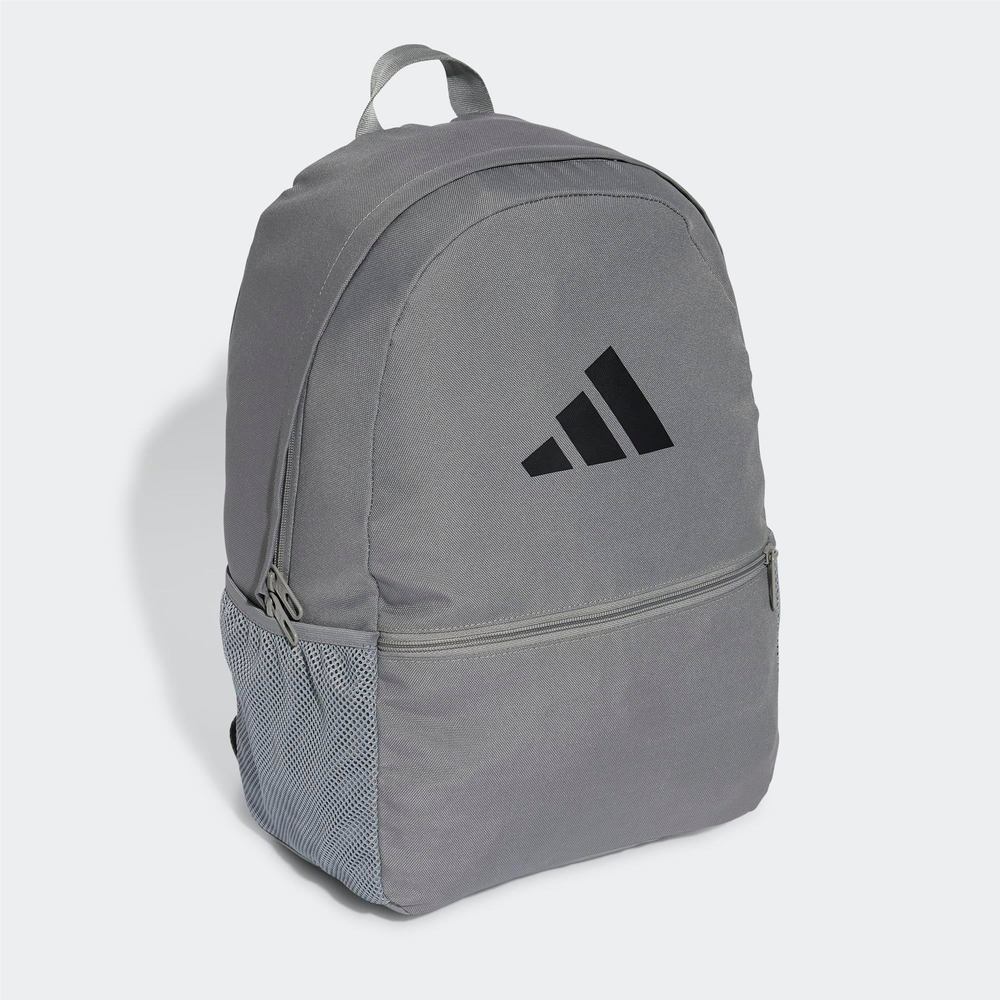 Clsc Pcase Bp