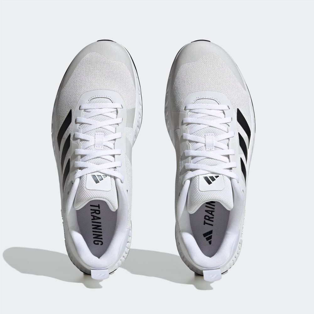 Everyset Trainer