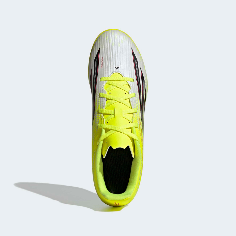 F50 Club TF