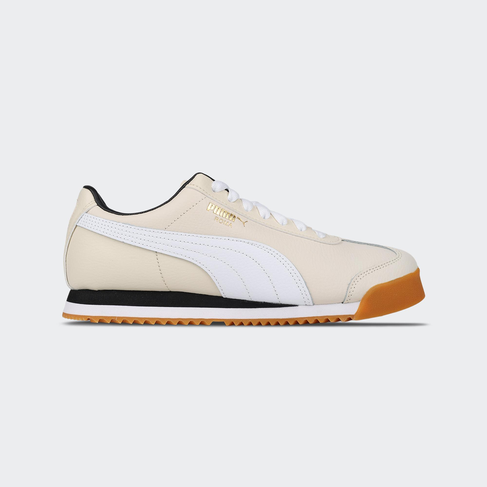 Roma 24 Standard