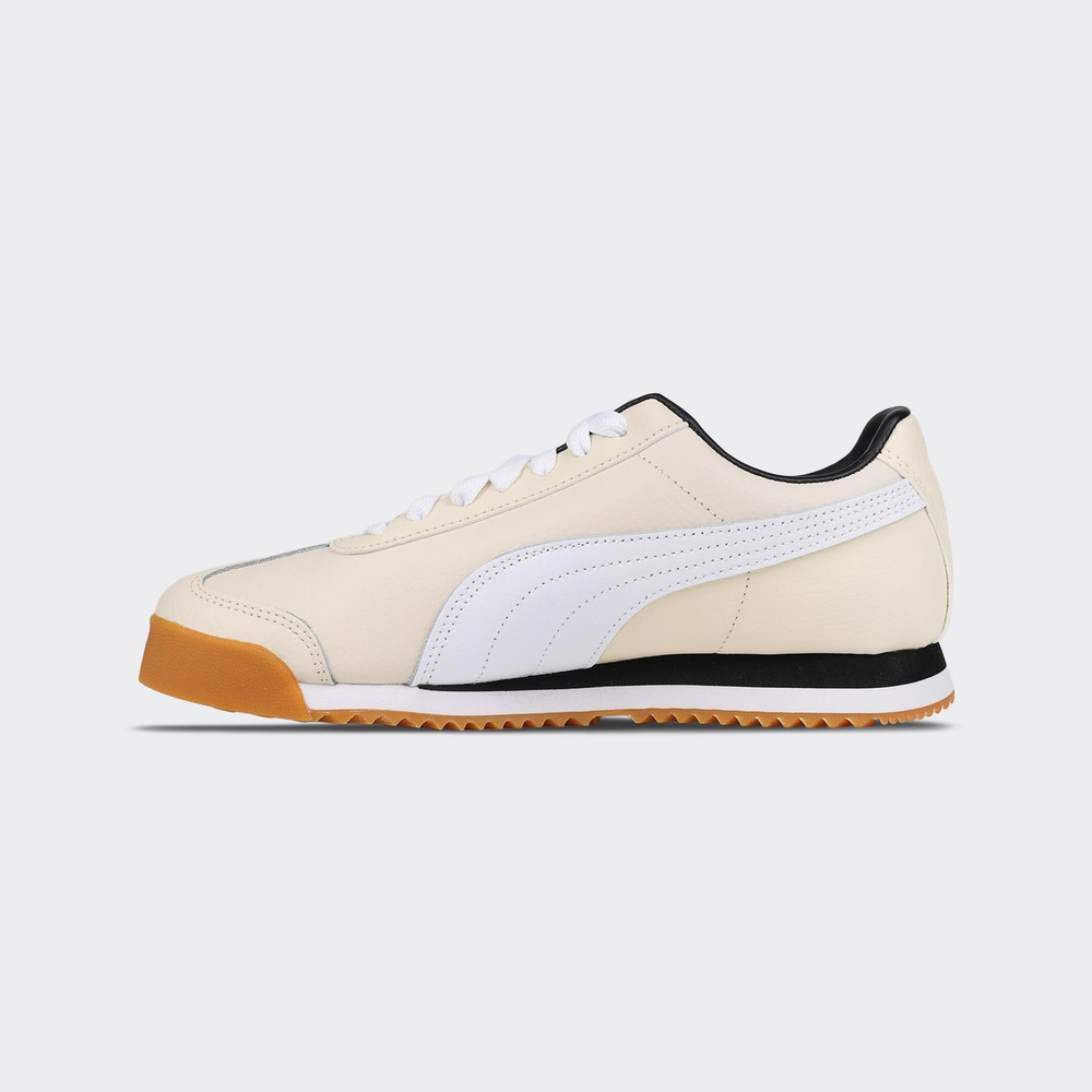 Roma 24 Standard