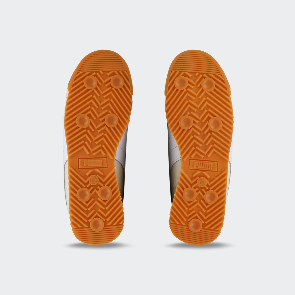 Roma 24 Standard