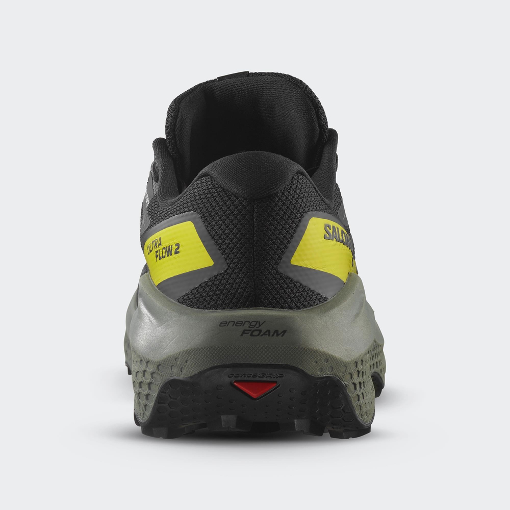 Ultra Flow 2 Gtx