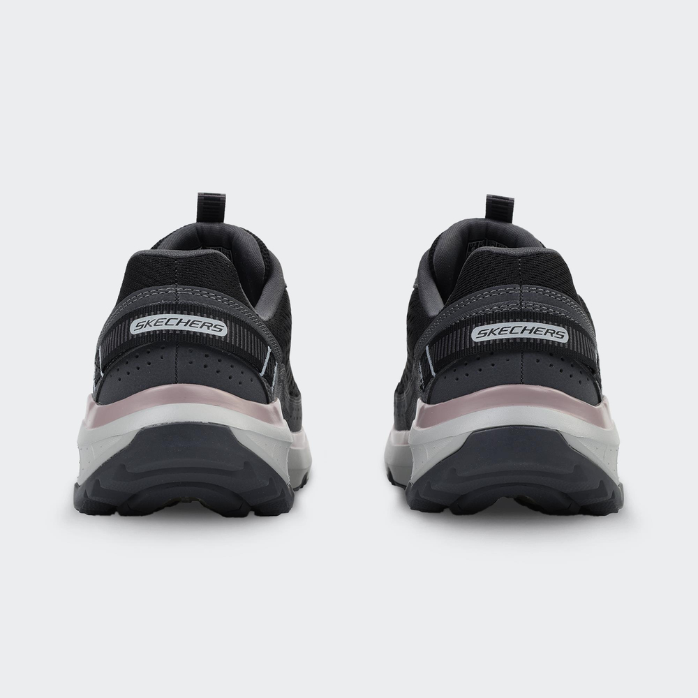DLux Pro