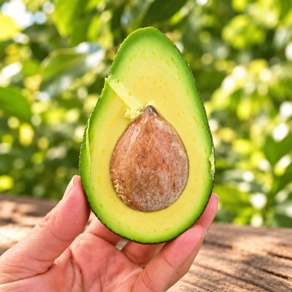FUERTE AVOKADO 200 GRAM
