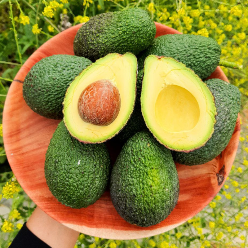 HASS AVOKADO BÜYÜK BOY - 1 KİLO