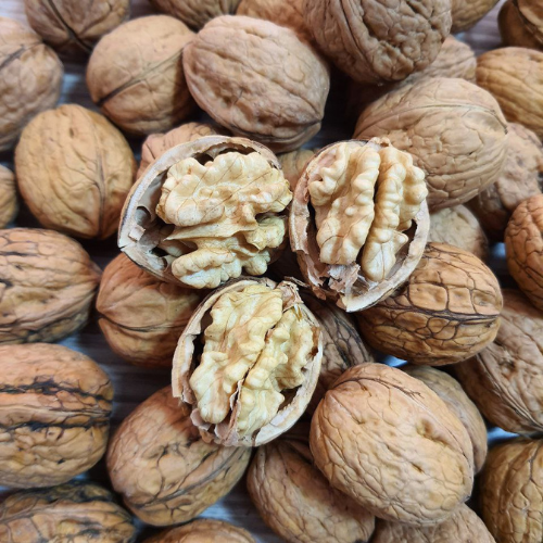 KABUKLU CEVİZ - 500 GRAM