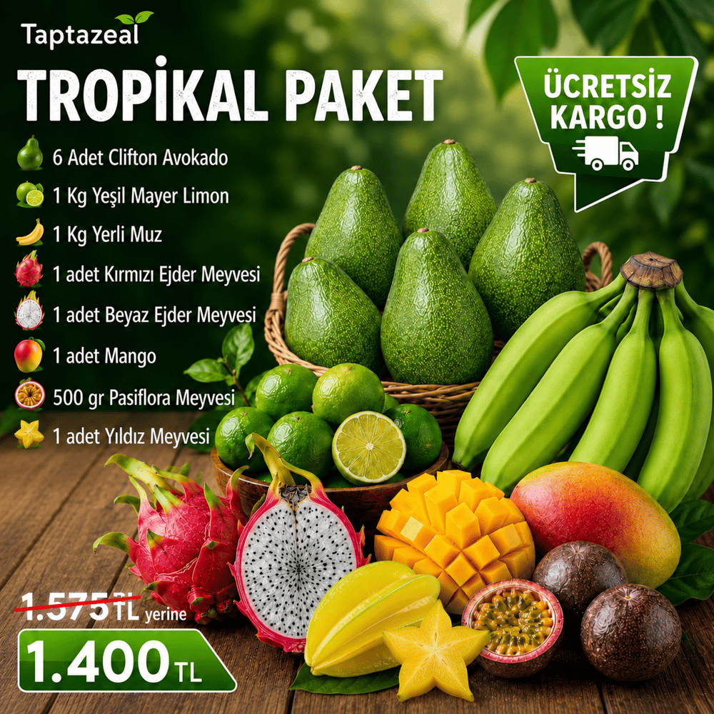 TROPİKAL PAKET 