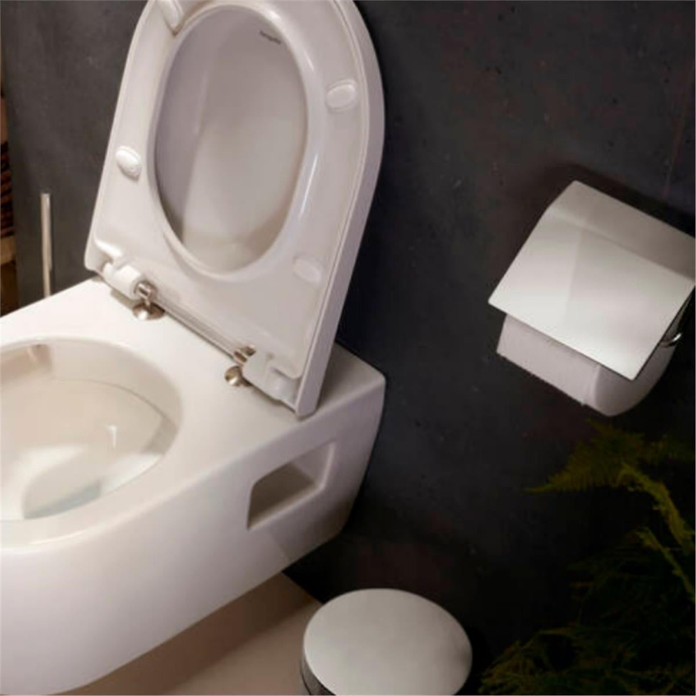 Hansgrohe AddStoris Tuvalet Kağıtlığı Krom