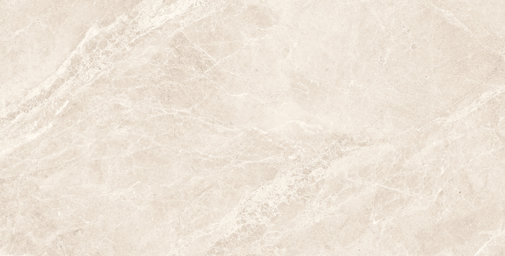 NG Kütahya Seramik 60*120 Swan Soft Mat