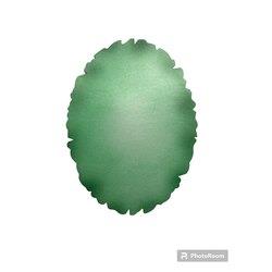 Air Brush Boyama Yanık Kağıt A4 Yeşil Oval