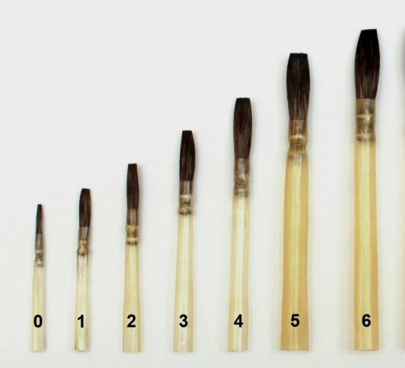 Feder Pinsel Sincal Kılı Seri 1305