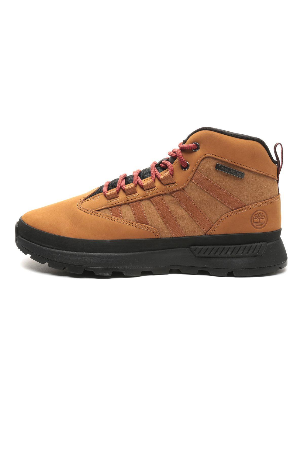 b0a62cr2311-r-mid-lace-up-sneaker-erke-066bfb.jpg