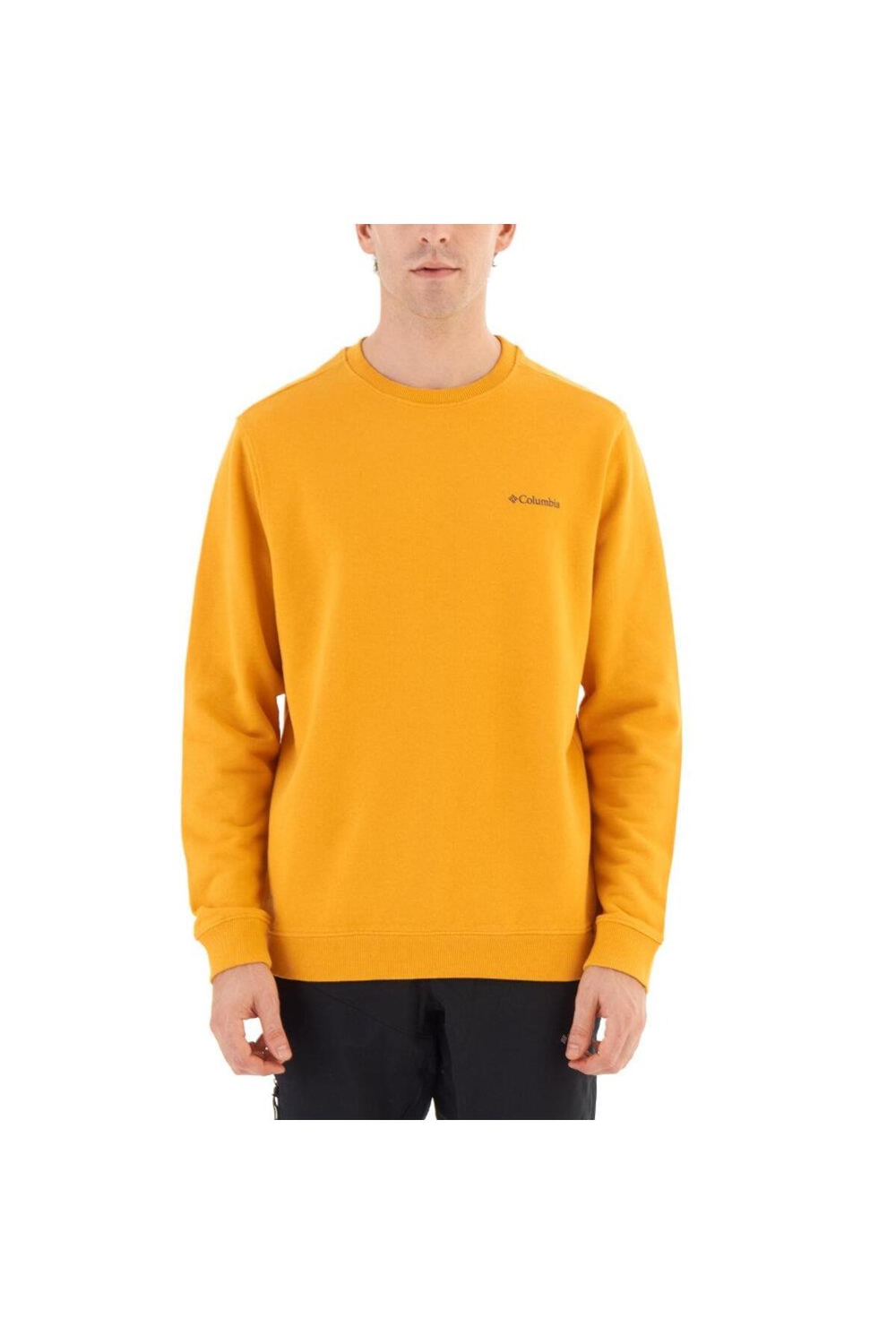 CS0204 CSC M BASIC CREW SWEATSHIRT Bal Sarısı