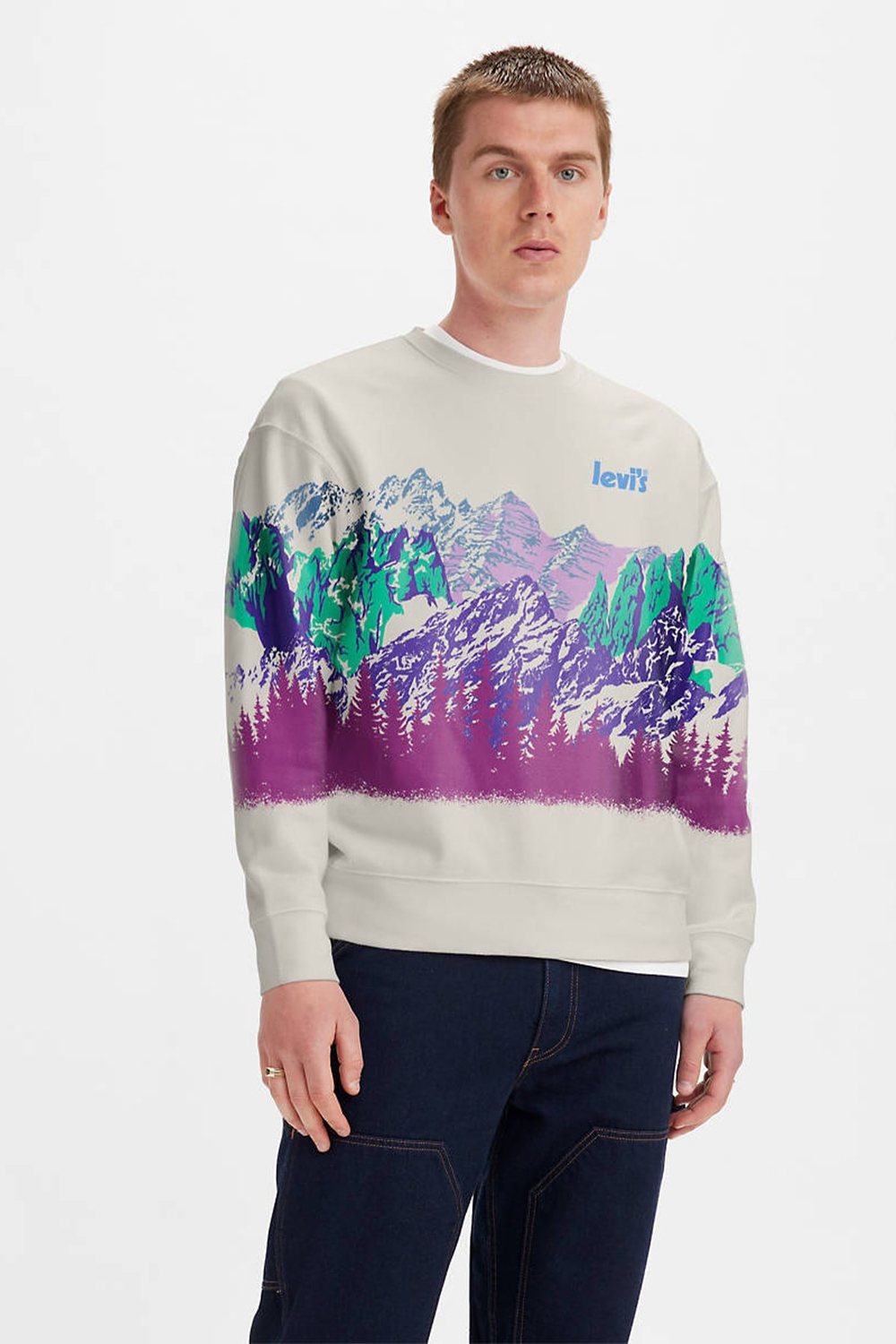 Erkek Relaxed Graphic Crewneck Mountain Sweatshirt - 38712-0081