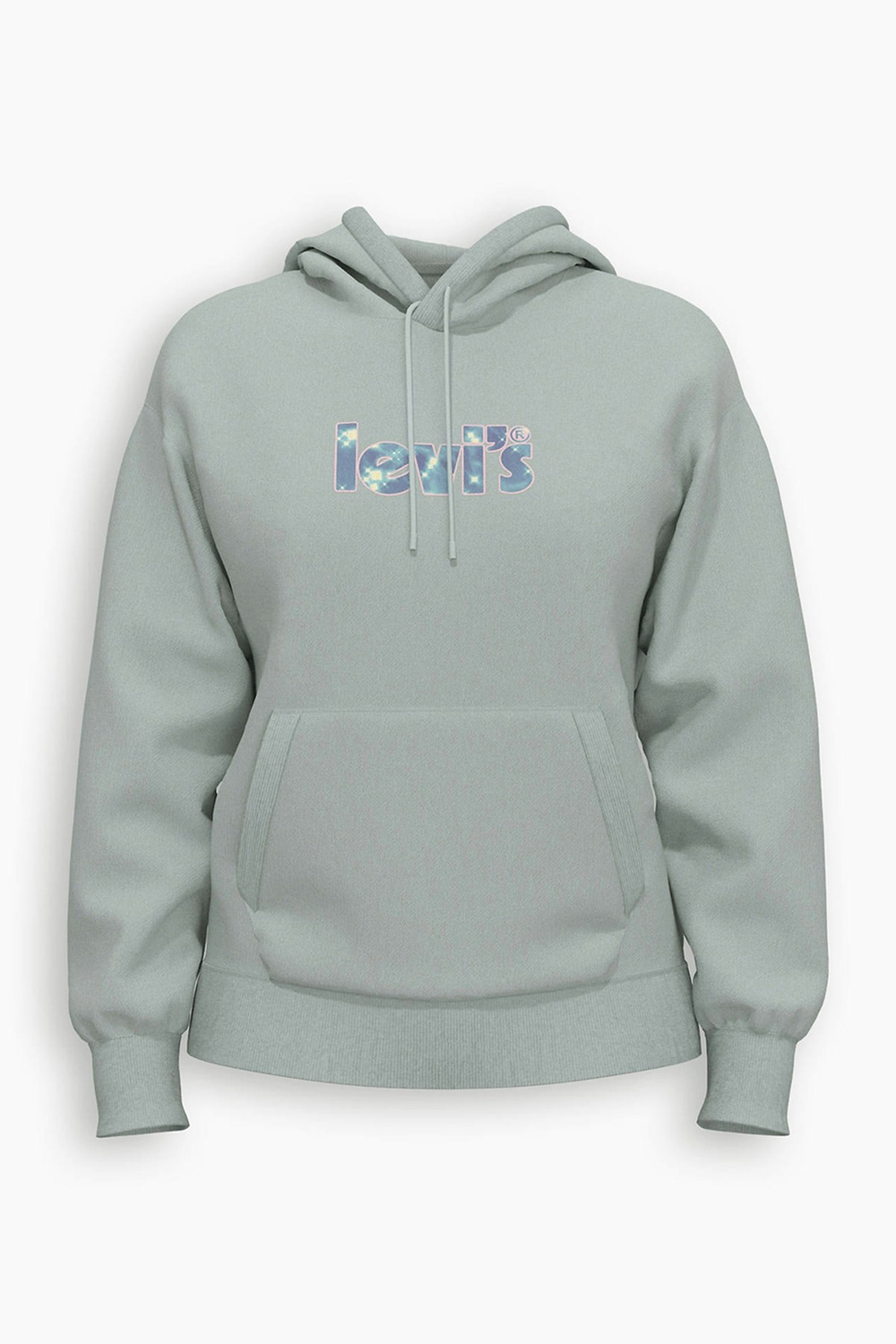 Pamuklu Regular Fit Kapüşonlu Sweat Sweat A2640
