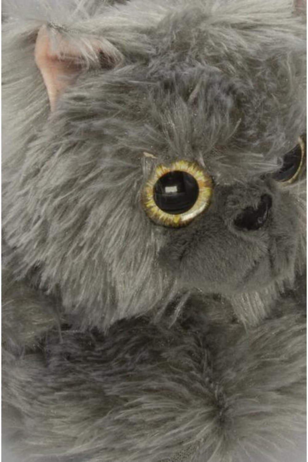 Rr0538 Kedi Kadın Panduf