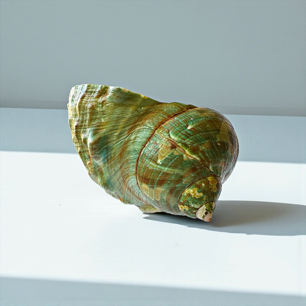 Elysse