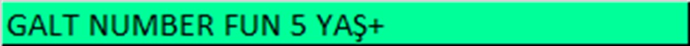 GALT FIRST ACTIVITY BOOK 5 YAŞ+