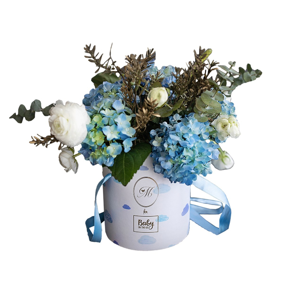 NİNO COFFRET