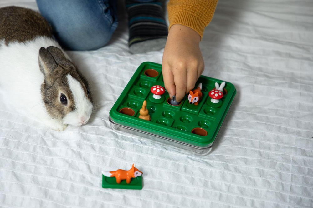Smart Games Jump In