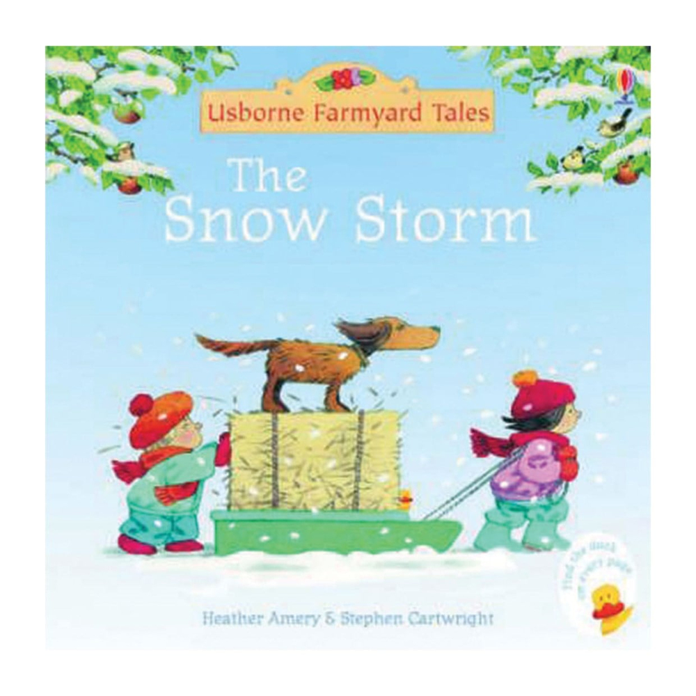 Usborne The Snow Storm