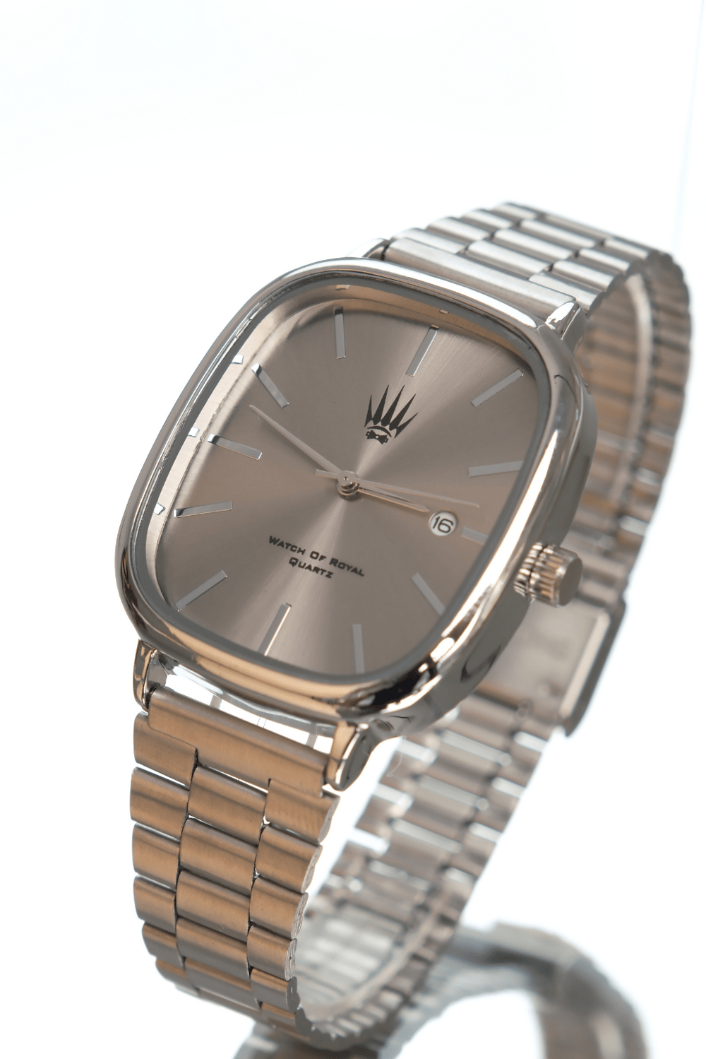 Classic Time Silver Metalik Kol Saati