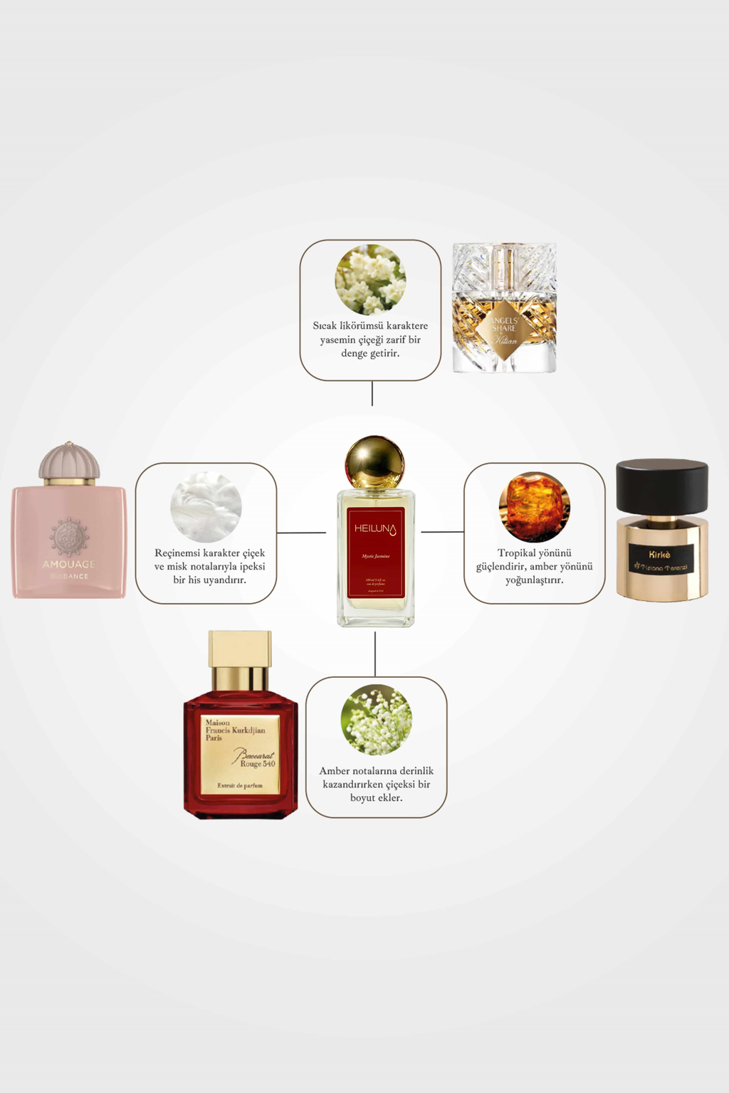3lü Parfüm Set Mystic Jasmine | Ambre Vanille | Sensual Latte 100 ml EDP Parfüm