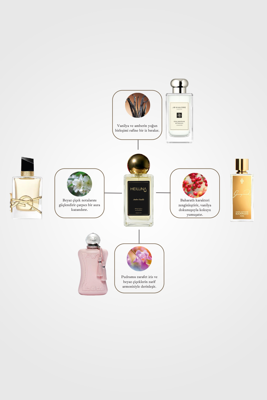 3lü Parfüm Set Mystic Jasmine | Ambre Vanille | Sensual Latte 100 ml EDP Parfüm