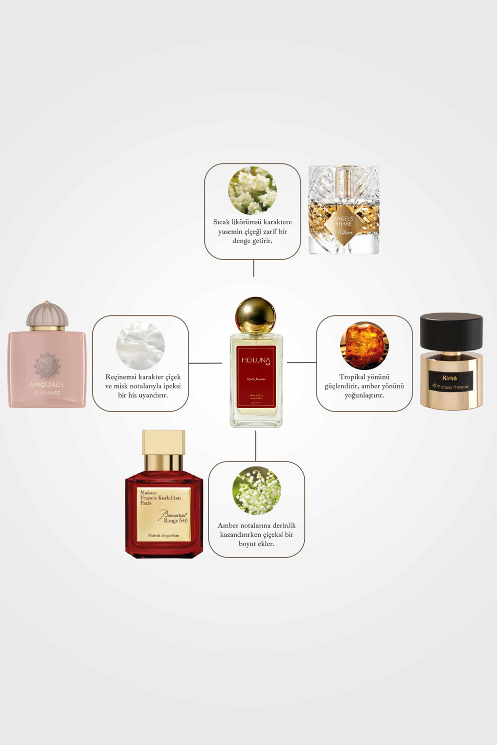 3'lü Parfüm Set Mystic Jasmine | Ambre Vanille | Sensual Latte 100 ml EDP Parfüm