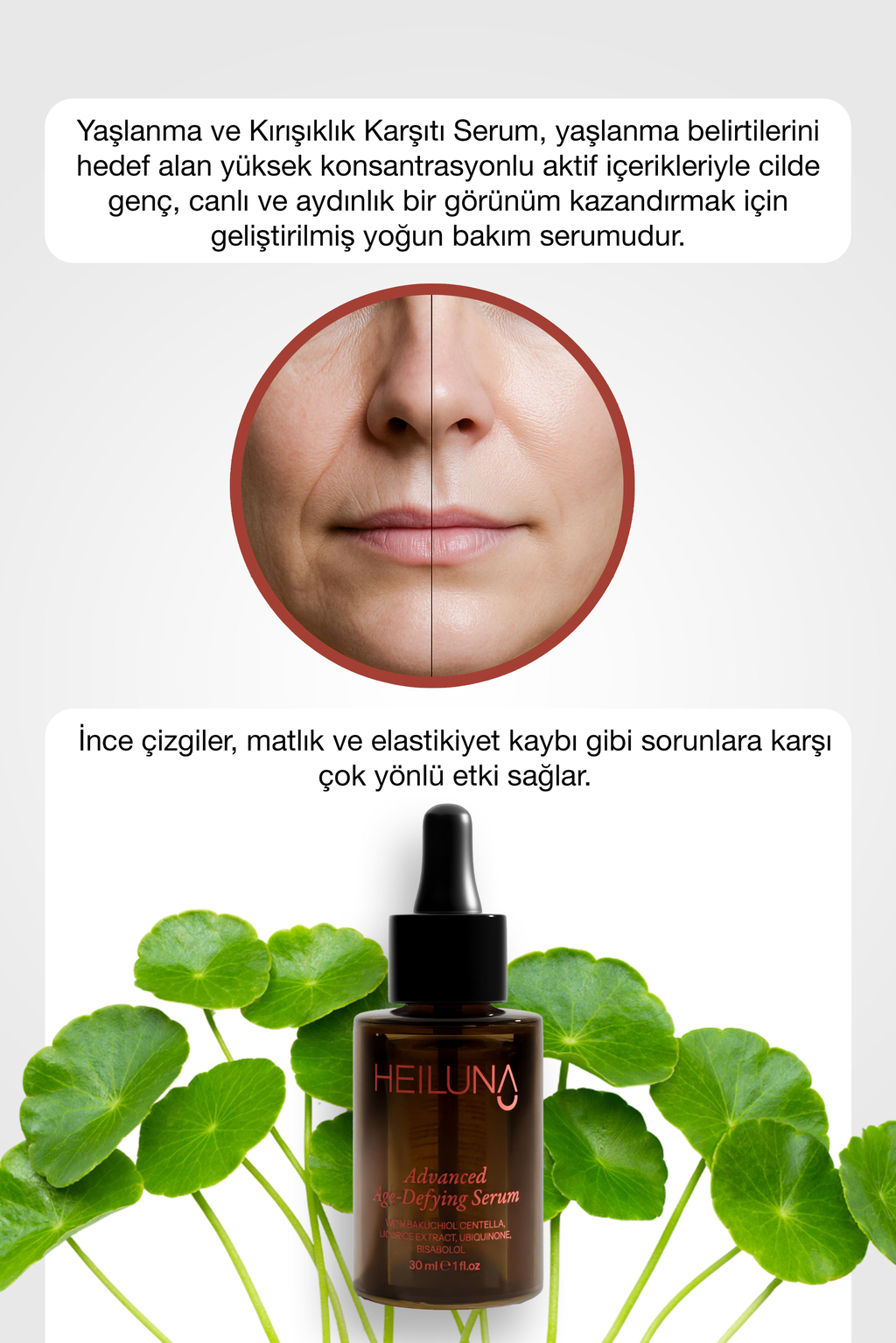 Heiluna Yaşlanma Ve Kırışıklık Karşıtı Serum