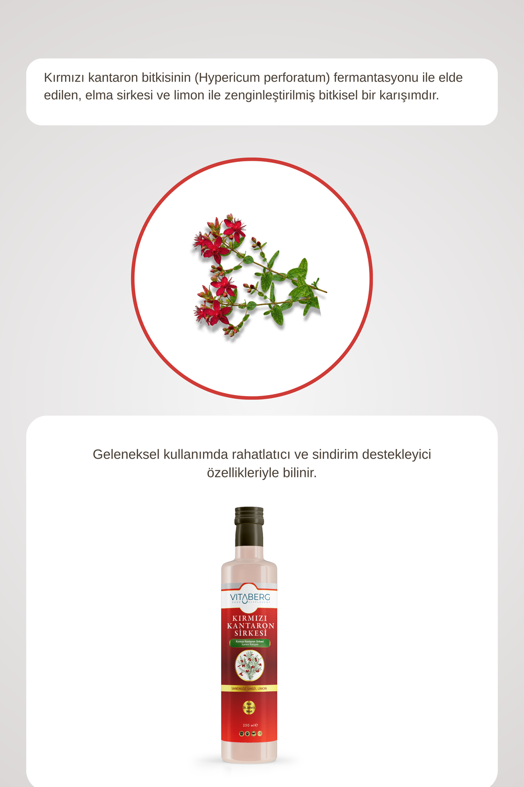 Kırmızı Kantaron ve Bitkisel Ekstrakt İçeren Sirke 250 ml