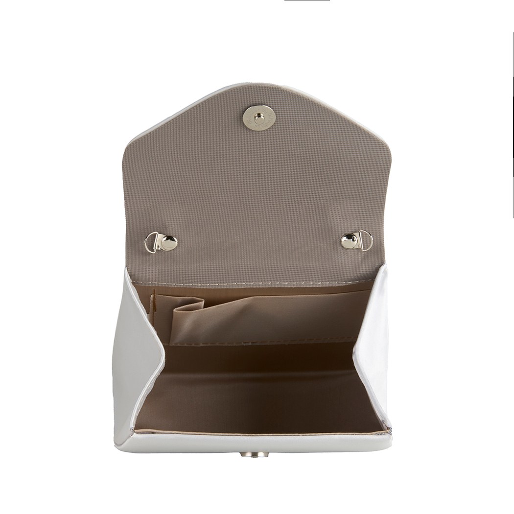 Shreya Gümüş Kadın Gece Çantası