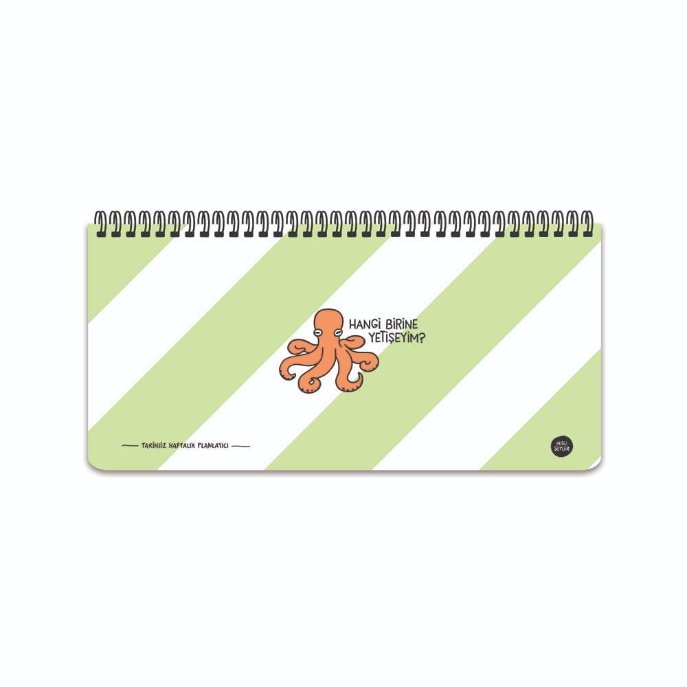 Hisli Şeyler 13x27 Spiralli Karton Kapak Stickerli Planner - Hangi Birine Yetişeyim