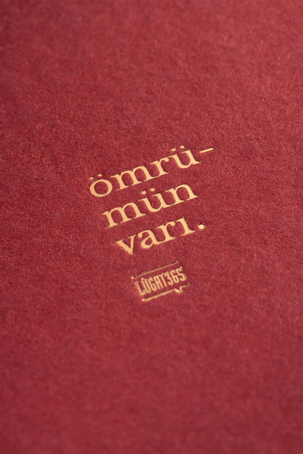 Lugat365 x Karatis 15*21 96 Yp.Düz Defter-Ömrümün Varı