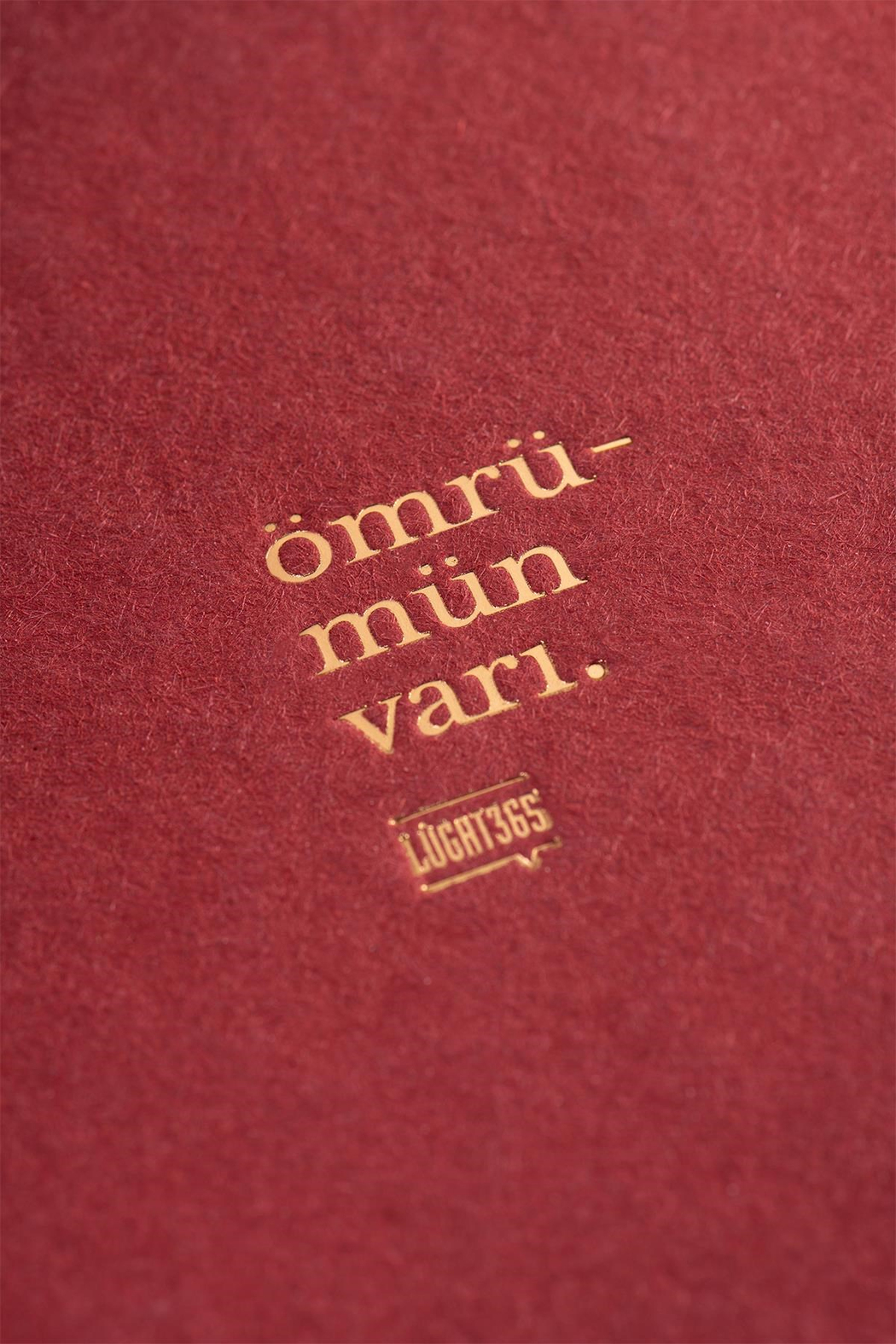 Lugat365 x Karatis 15*21 96 Yp.Düz Defter-Ömrümün Varı