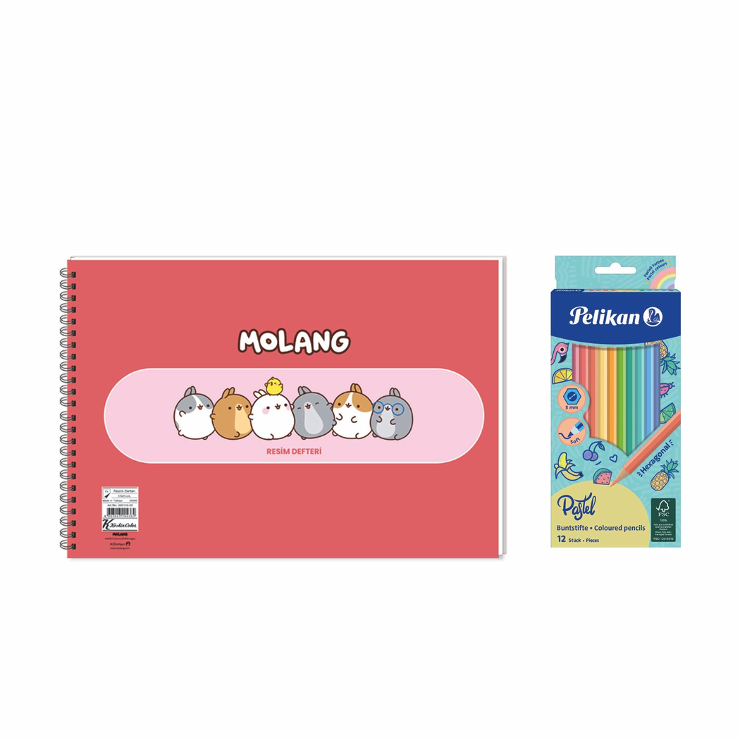 Molang 17x25 Spiralli Resim Defteri - Pelikan Pastel Renkler 12'li Kuru Boya 2'li Set 2
