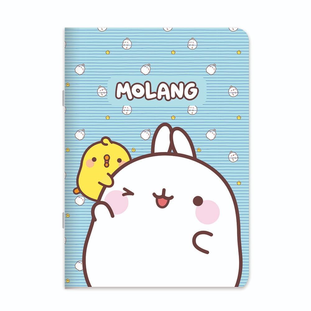 Molang 18,5x26 Tel Dikişli Stickerli Çizgili Defter - Mavi
