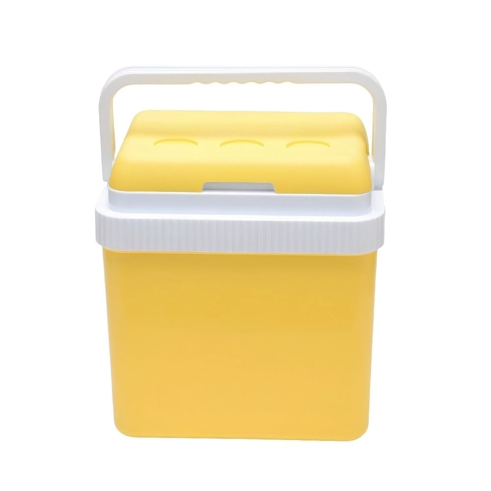 Icepeak SF26 Taşıma Çantası Buzluk 26 Litre-SARI