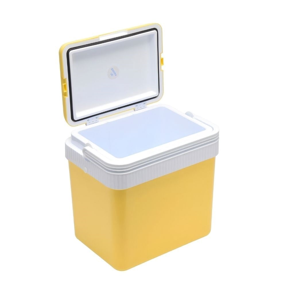 Icepeak SF26 Taşıma Çantası Buzluk 26 Litre-SARI