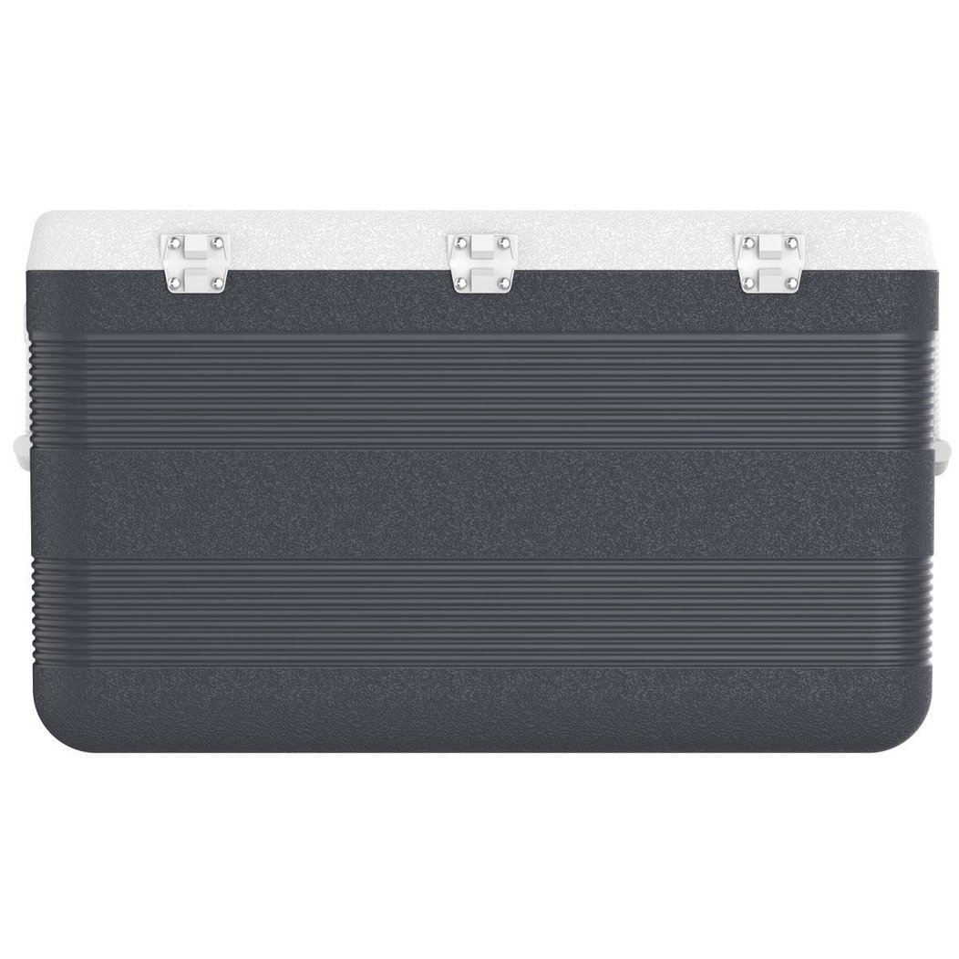 IcePeak CoolCraft 120 Buzluk 113 Litre-FÜME