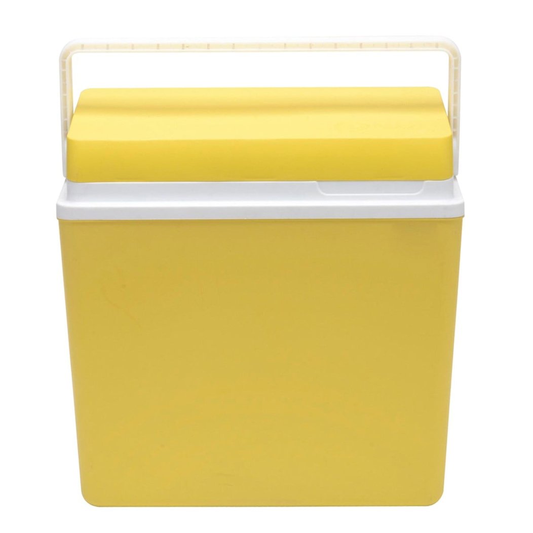 Icepeak SF25 Buzluk 25 Litre-SARI